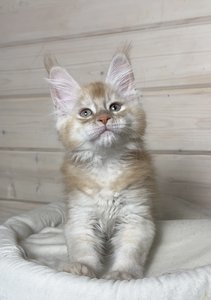 Duncan