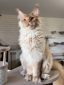 Billy